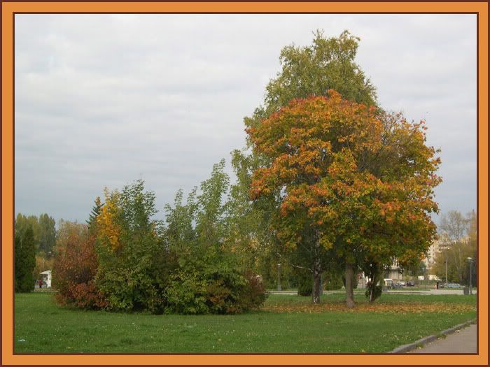 DSCN5798.jpg