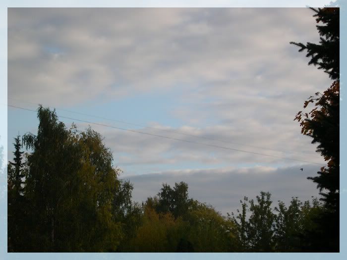 DSCN5805.jpg