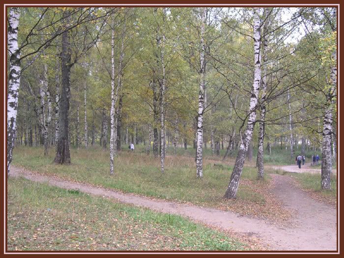 DSCN5874.jpg