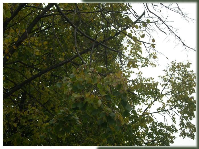 DSCN5882.jpg