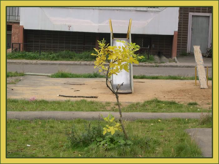 DSCN5891.jpg