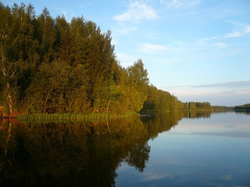 P1010055.jpg