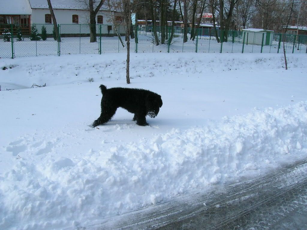 DSCN0622.jpg