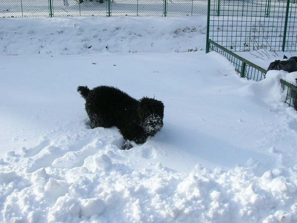 DSCN0626.jpg