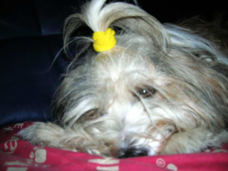 DSCN4394.jpg