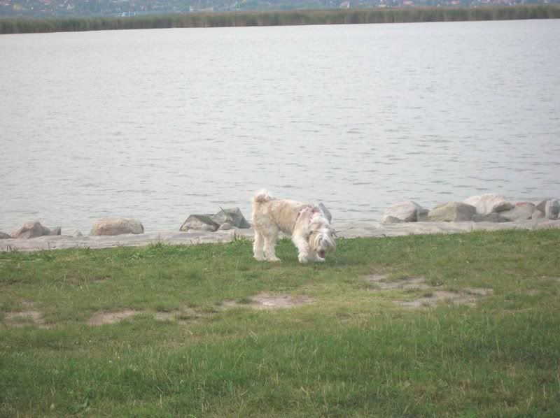 DSCN7553.jpg