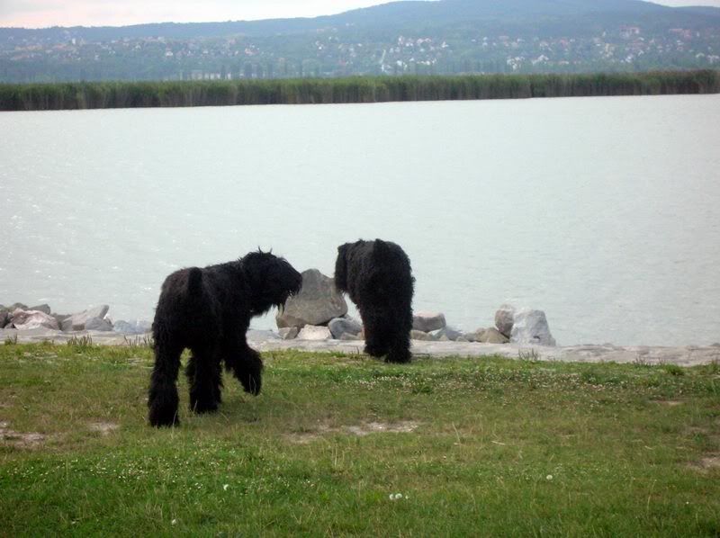 DSCN7554.jpg