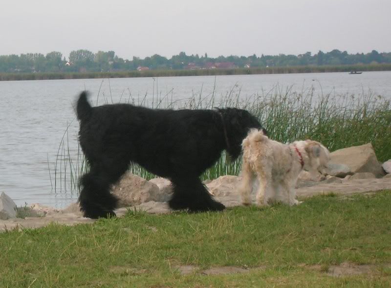 DSCN7561.jpg