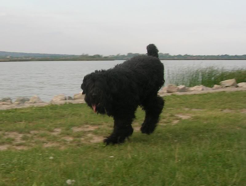 DSCN7564.jpg