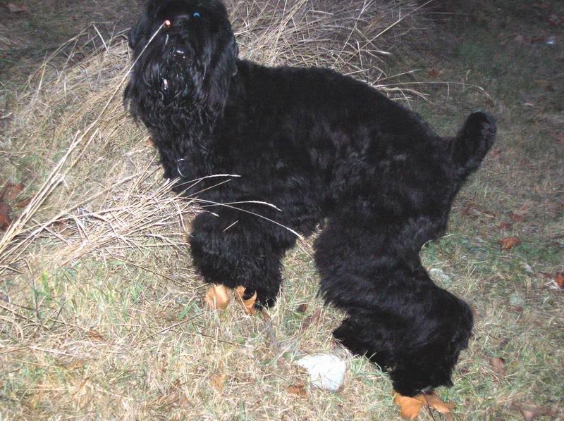 DSCN6374.jpg