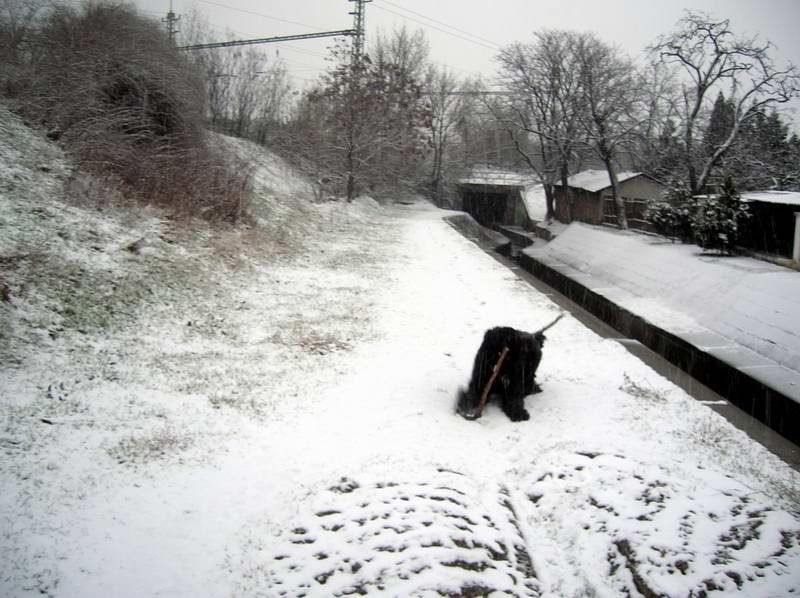 DSCN9049.jpg