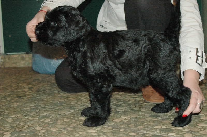 DSC_0096.jpg