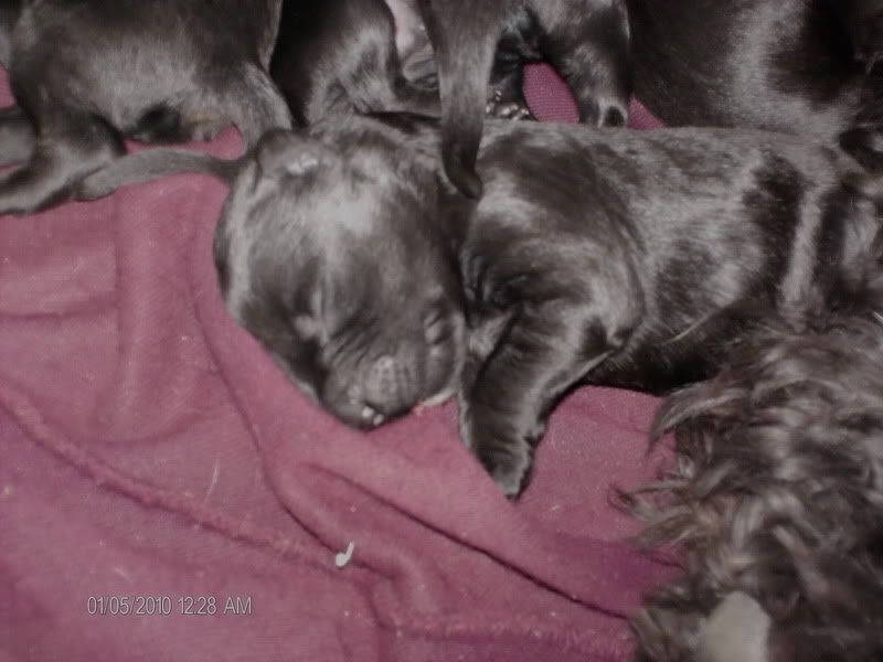 HPIM0670_resize.jpg