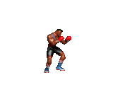 TJ Combo TJ Combo
