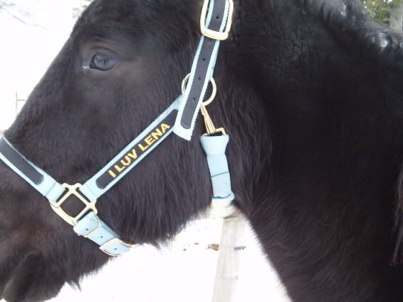 Image hosting by Photobucket