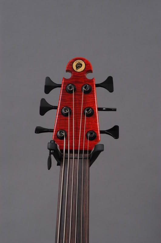 Skjold Custom Series 6string fretless bass Bass Instruments
