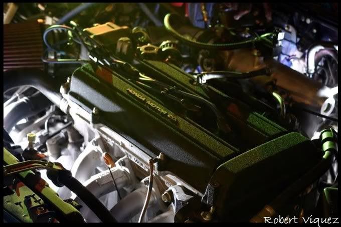 IMAGE: http://i11.photobucket.com/albums/a189/AGENT5150/1162896-md.jpg