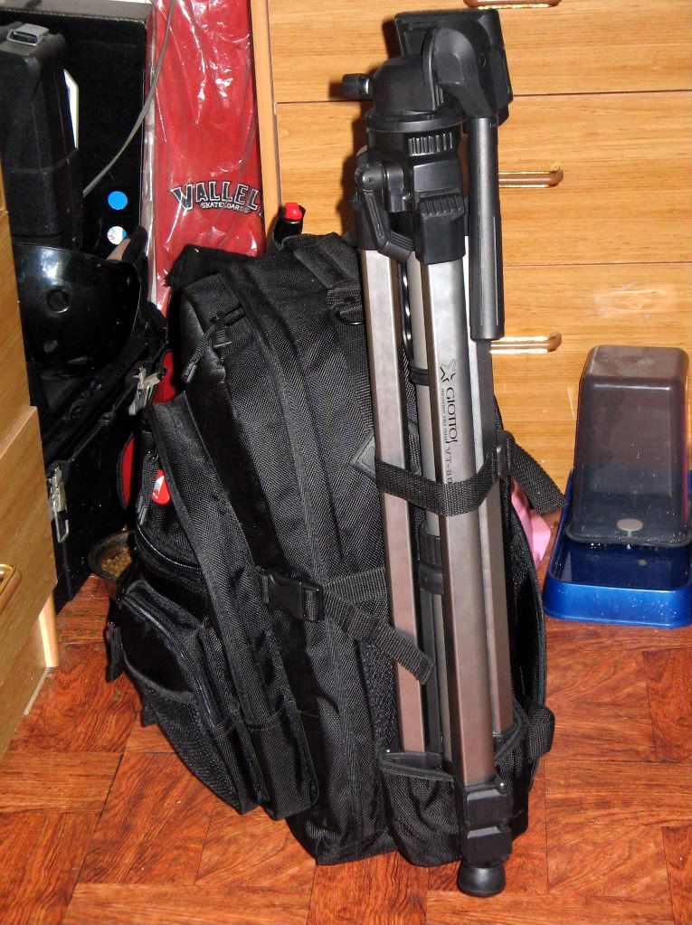 IMAGE: http://i11.photobucket.com/albums/a189/AGENT5150/IMG_1184.jpg