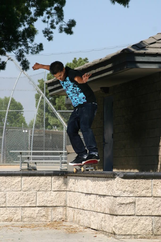 IMAGE: http://i11.photobucket.com/albums/a189/AGENT5150/SKATE%20PICS/ant008.jpg