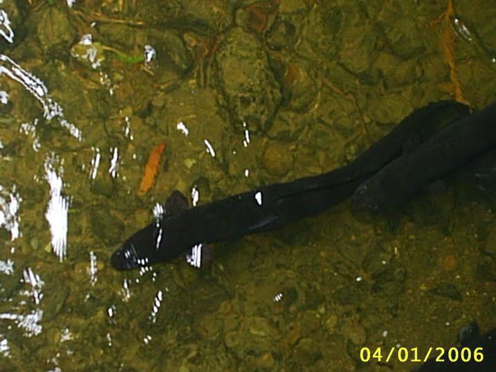 Image hosting by Photobucket