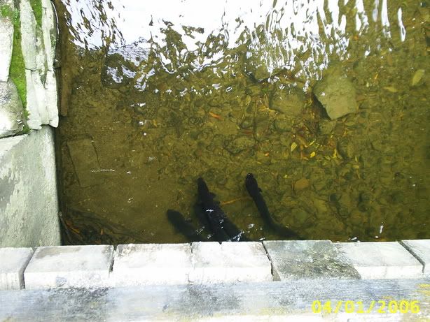 Image hosting by Photobucket