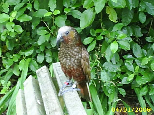 Image hosting by Photobucket