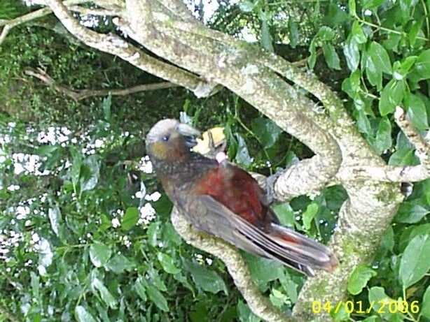 Image hosting by Photobucket