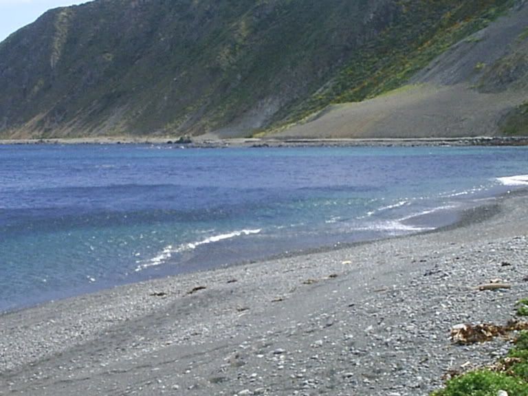 Image hosted by Photobucket.com