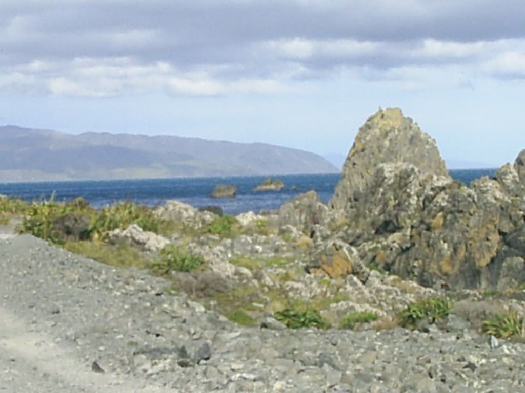 Image hosted by Photobucket.com