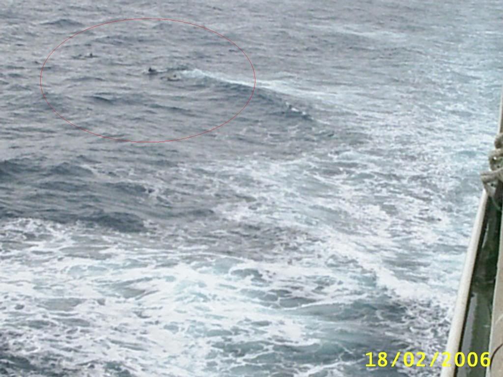 Image hosting by Photobucket