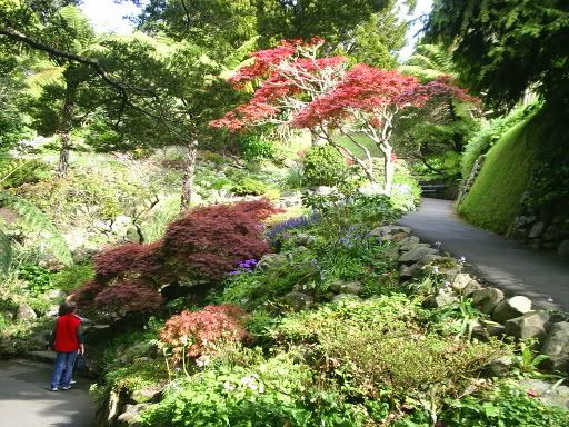 Image hosted by Photobucket.com