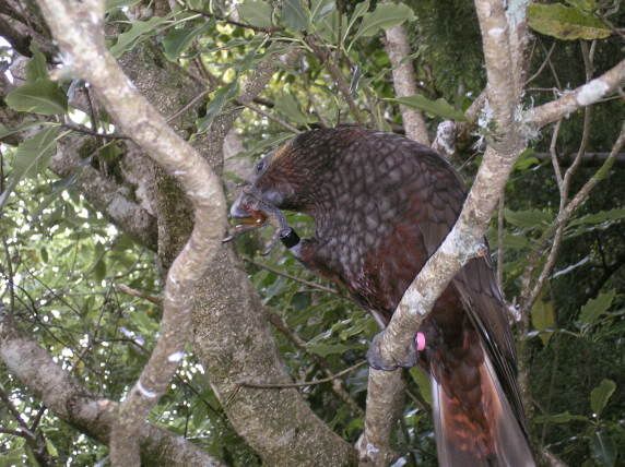 Image hosting by Photobucket