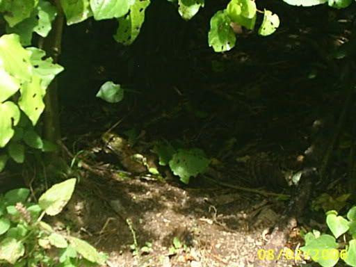 Image hosting by Photobucket