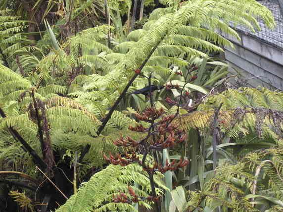 Image hosting by Photobucket