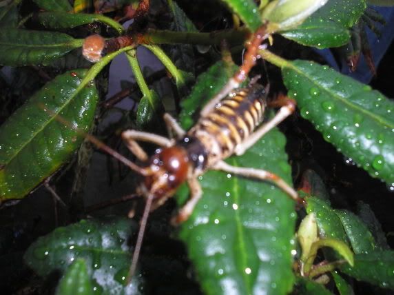 Image hosting by Photobucket