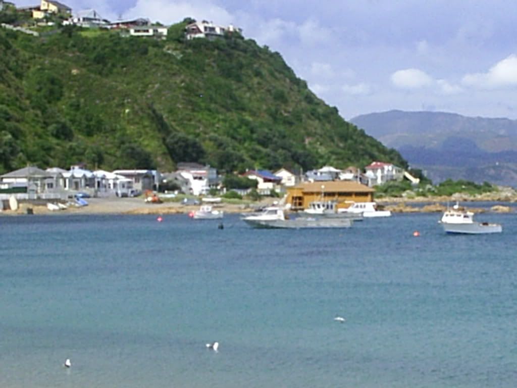 Image hosted by Photobucket.com