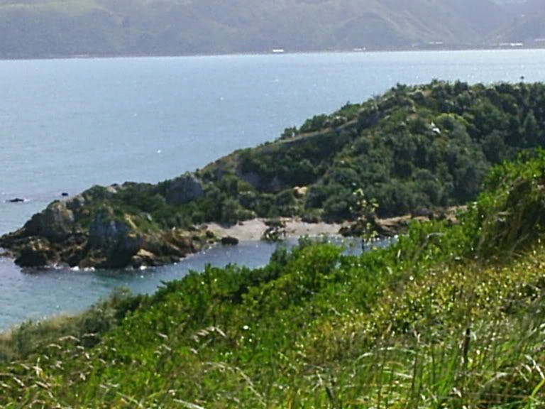 Image hosted by Photobucket.com