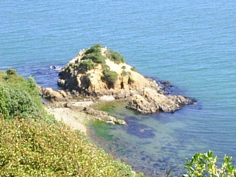 Image hosted by Photobucket.com