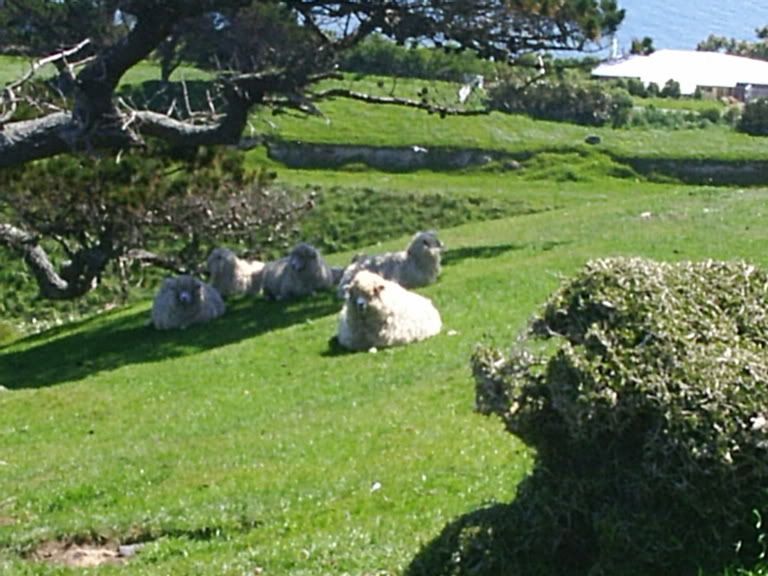 Image hosted by Photobucket.com