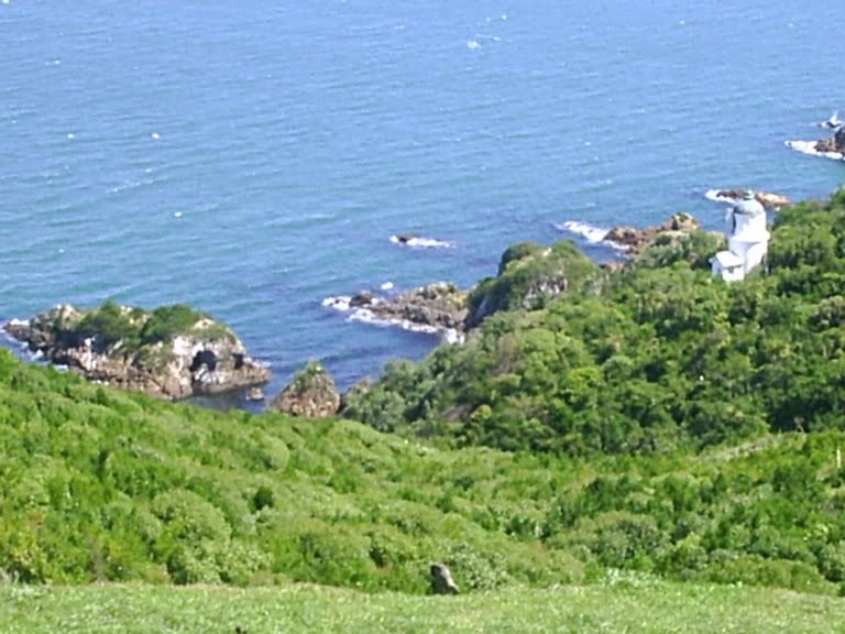 Image hosted by Photobucket.com