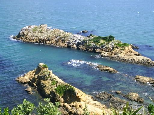 Image hosted by Photobucket.com