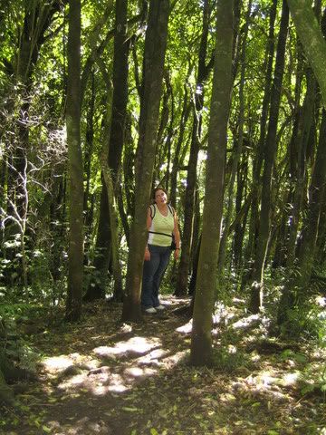 Image hosted by Photobucket.com