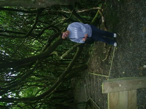 Image hosted by Photobucket.com