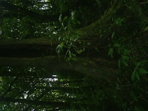 Image hosted by Photobucket.com