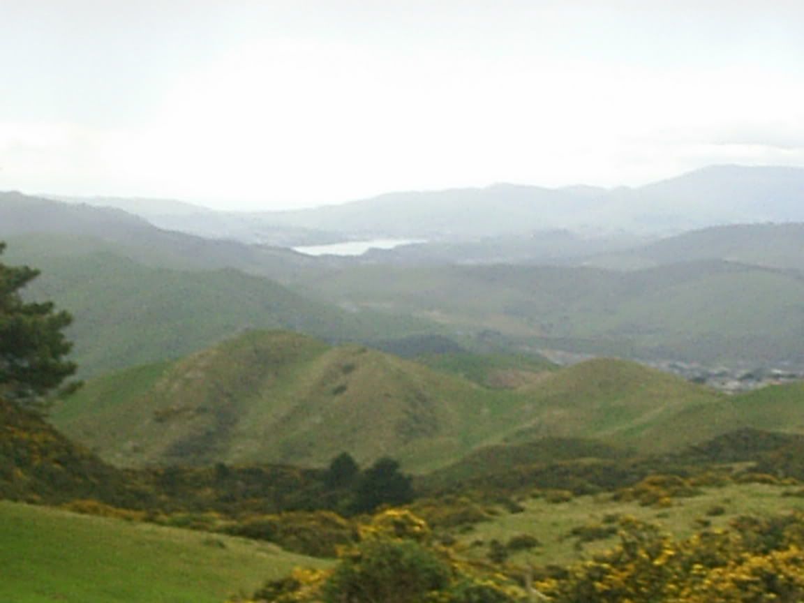 Image hosted by Photobucket.com