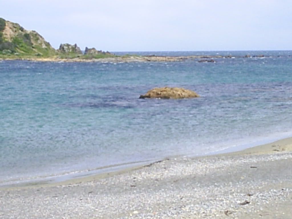 Image hosted by Photobucket.com