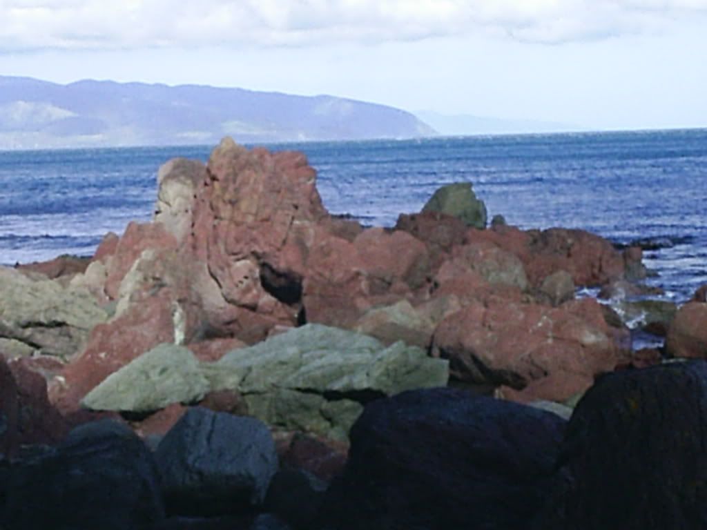 Image hosted by Photobucket.com