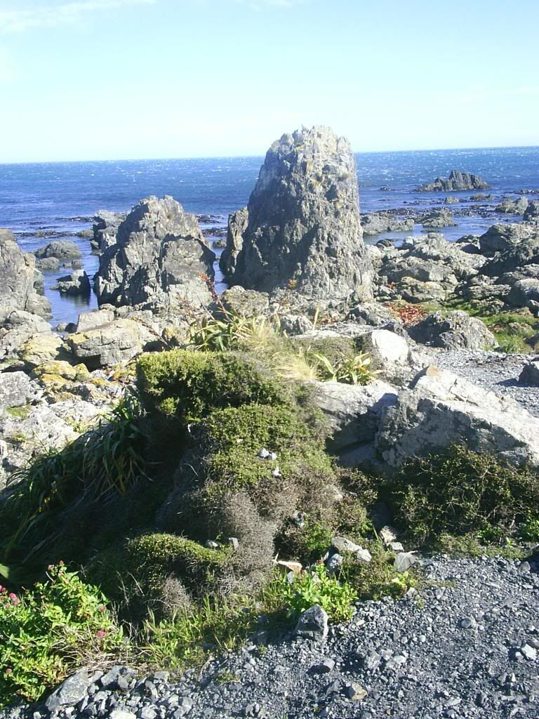 Image hosted by Photobucket.com