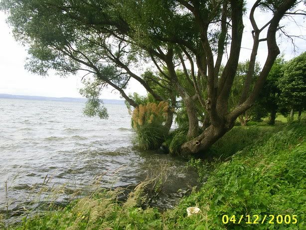 Image hosting by Photobucket