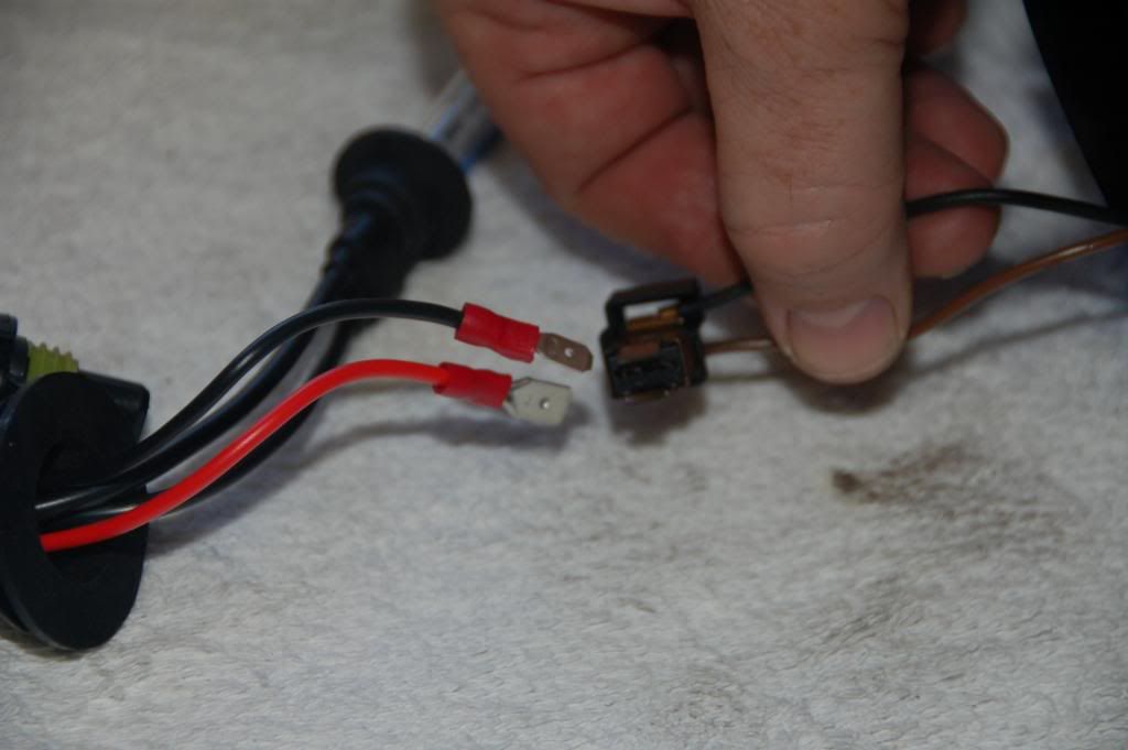 External inline image provided by member with no explanatory text
